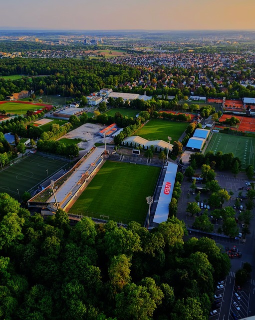 奇提供一个 奇提供一个