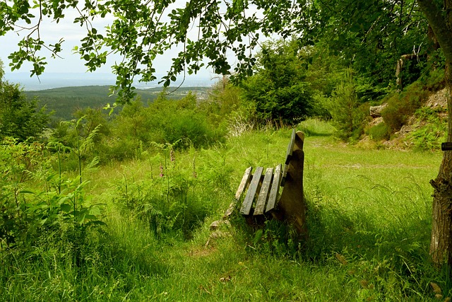 对皇马的进 对皇马的进