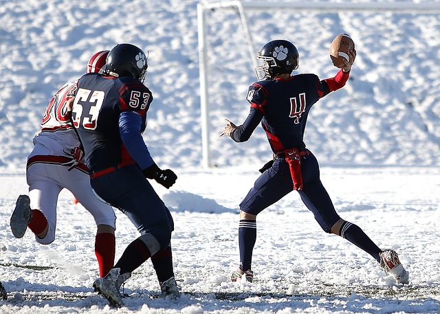 球迷们带来 球迷们带来