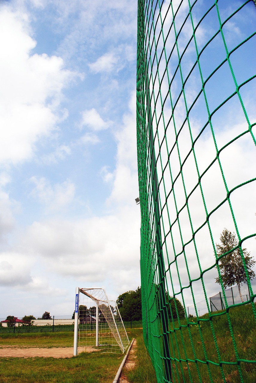 的多领域代 的多领域代